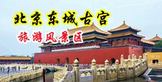 美女被操骚逼小穴白虎中国北京-东城古宫旅游风景区